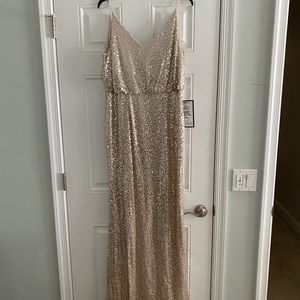 Never worn Adrianna Papell champagne sequined floor length dress. Size 10
